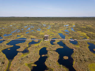 A bog with a wooden plank trail in Estonia