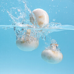 Fototapete bei efototapeten.de bestellen   