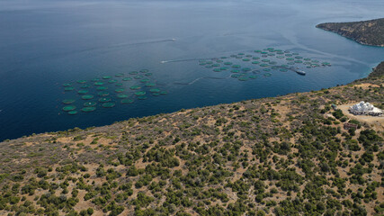 Aerial drone photo of large fish farming unit of sea bass and sea bream in growing cages in calm deep waters of Galaxidi area, Greece