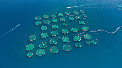 Aerial drone photo of large fish farming unit of sea bass and sea bream in growing cages in calm...