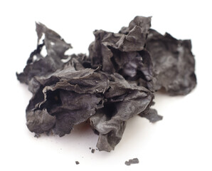 Charred paper scraps isolated.