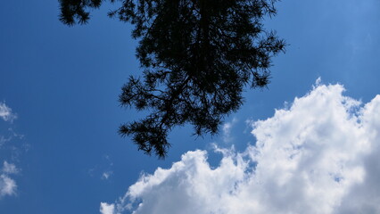 Fototapeta na wymiar blue sky with clouds