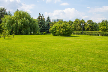 A nature Park with bright green willows and neatly trimmed grass against a blue cloudy sky and a copy space on Poklonnaya hill in Moscow Russia