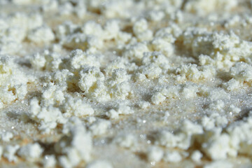 Preparation of a sweet roll of pita bread, sugar, cottage cheese. Baking pita bread roll in the oven. Recipe from pita bread with cottage cheese.