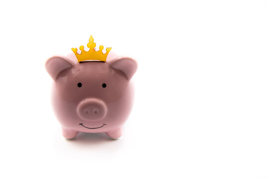 Pink piggy bank with golden crown isolated over white background with copy space, cash is king concept image