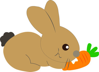 Brown rabbit eating carrots isolated on white background.