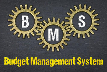 BMS Budget Management System