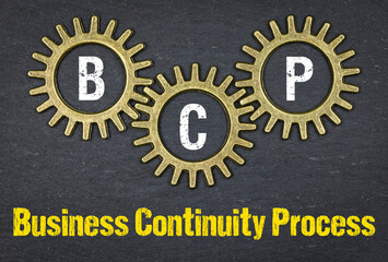 BCP Business Continuity Process