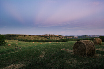 sunset over the field