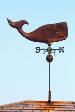 Canada, Prince Edward Island. Charlottetown. Whale