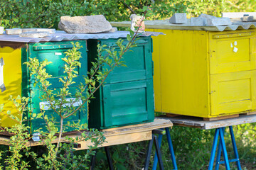 Blick in der Nähe von Bienenstöcke zur Honiggewinnung.