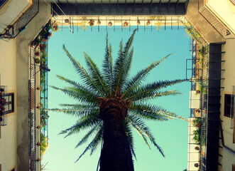 cortile nel centro di Palermo