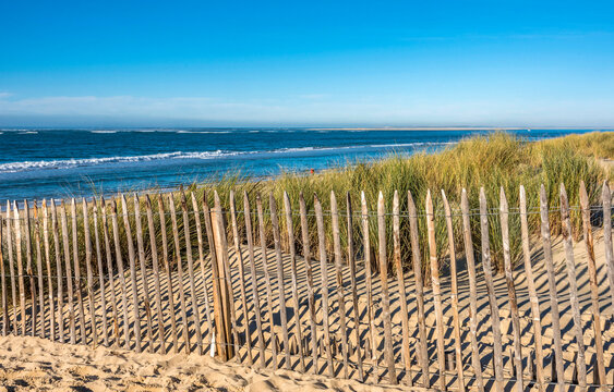 rance, Gironde, Arcachon Bay, La Lagune beach, protection barrier against coastal erosion