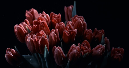 Bouquet of fresh flowers. Holiday gift to your loved one. Background St. Valentine's Day. Rose, tulip, iris flower arrangement.