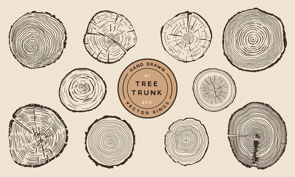 Wood Tree Trunk Rings - Hand Drawn Vector Set
