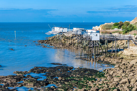 France, Charente-Maritime, Royan, Foncillon district, pointe du Chaix, fishing huts on stilts on the edge of the cornice (GR footpath, and coastline p