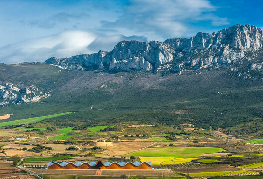 Spain, autonomous community of the Basque Country, Laguardia, Ysios cellar (2001, architect Santiago Calatrava) (Domecq Pernod-Ricard group) at the fo