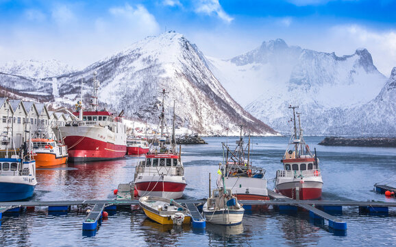 Norway, Tromso County, Senja Island, Fjordgard, Husoy cod port