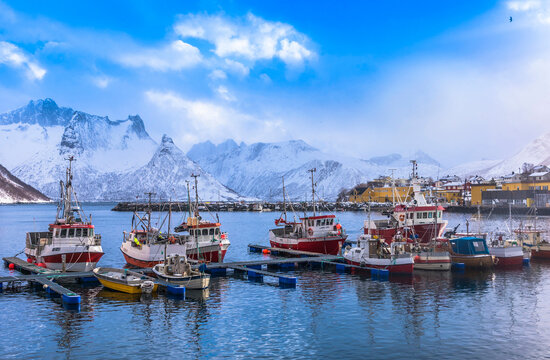 Norway, Tromso County, Senja Island, Fjordgard, Husoy cod port