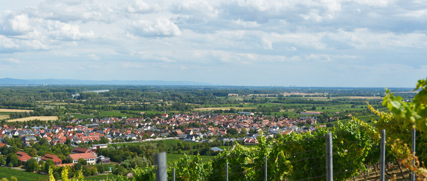Panorama Rheintal, Bergstra&szlig;e von Oppenheim nach S&uuml;den