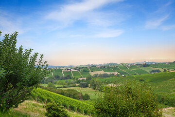 Hills in Piedmont, Italy. Landscape near Calosso, Asti. - 370322415