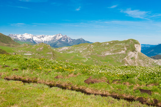France, Savoie, mountain pastures and glaciers at the col des saisies
