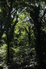 Animal and nature photos from the Schoenbrunn Zoo in Vienna