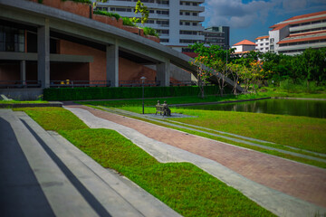 Fototapeta premium Natural background in the park with many kinds of plants, large stones, allow tourists to stop and take photos while traveling, the beauty of the ecosystem