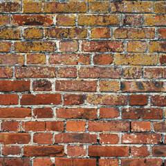 Fototapeta premium Red brick wall texture background for any product.