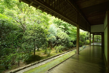 A beautiful Japanese garden of  Ryoan-ji Temple in Kyoto, Japan