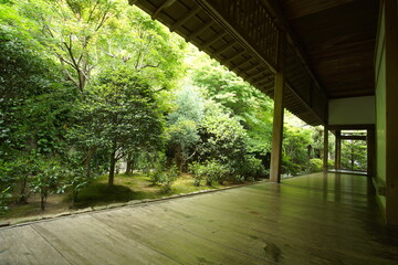 A beautiful Japanese garden of  Ryoan-ji Temple in Kyoto, Japan