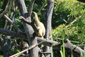 Animal and nature photos from the Schoenbrunn Zoo in Vienna