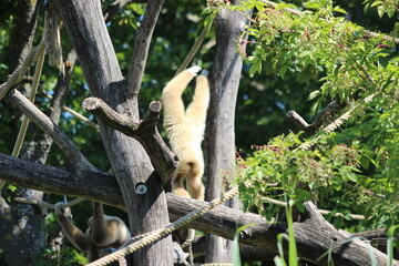 Animal and nature photos from the Schoenbrunn Zoo in Vienna