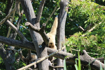 Animal and nature photos from the Schoenbrunn Zoo in Vienna
