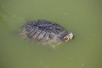 Animal and nature photos from the Schoenbrunn Zoo in Vienna