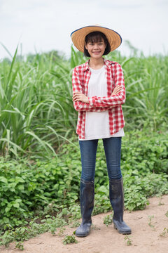 Asian farmer woman wear red shirt smile and standing at corn farm green leaf background. Full body photos.