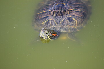 Animal and nature photos from the Schoenbrunn Zoo in Vienna