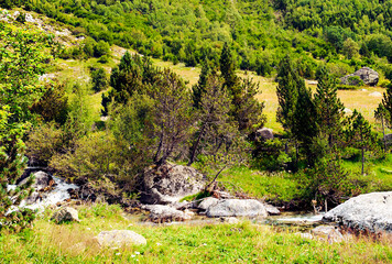 Fototapeta na wymiar River in the Benasque valley in the Pyrenees mountains