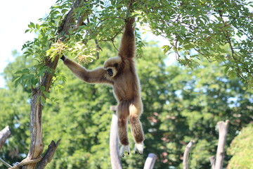 Animal and nature photos from the Schoenbrunn Zoo in Vienna