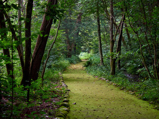 烏川渓谷緑地の水辺エリア 苔が生している園路 長野県安曇野市