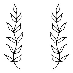 branch with leaves hand drawn in doodle style. frame, border for design invitation, label, card. vector, scandinavian, hygge, monochrome. wedding, autumn, foliage plant