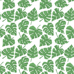 Seamless pattern with monstera leaves, vector eps 10 illustration on white background