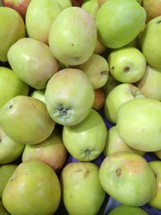 Garden apples in summer close-up.