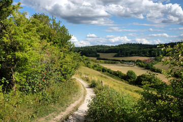 Fototapeta na wymiar Pewley Down in Guildford, Surrey, part of the North Downs Way.