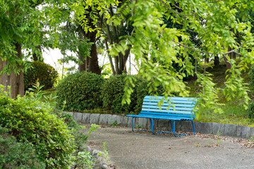 公園の木陰にある青いベンチ