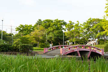 公園の赤い橋