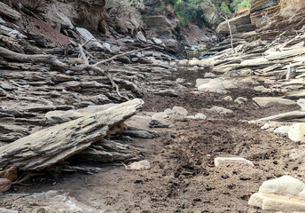 Rio Tajo in the natural park of Monfrague