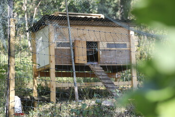 Hühnerstall diy im Garten, selbst gebaut mit Elektrozaun. © Oda Hoppe