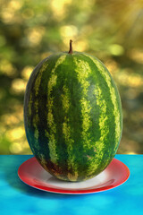 Green watermelon on blue table in sunny garden