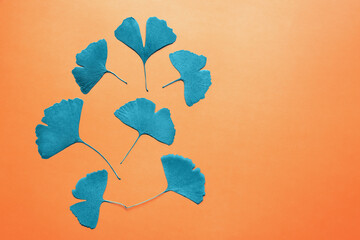 Bright decorative background with blue ginkgo leaves on orange paper. Free space for text